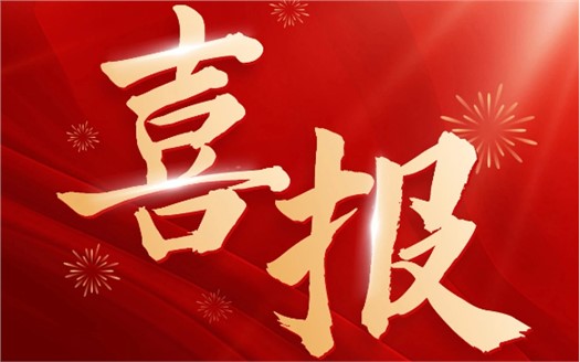 集团荣膺2025中国民营企业500强第249位，制造业民营企业500强第177位，排名较去年双双大幅提升