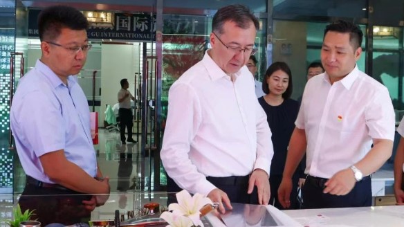 新疆维吾尔自治区领导伊力扎提·艾合买提江莅临PA视讯官网首页温泉城视察指导